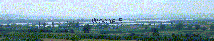 Woche 5