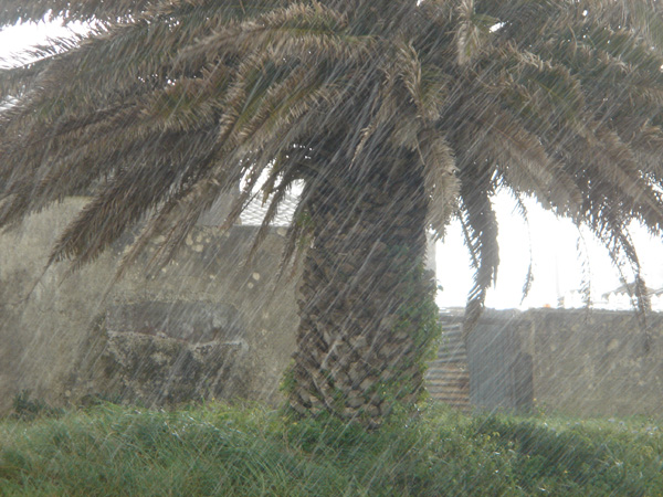 DSC01386
