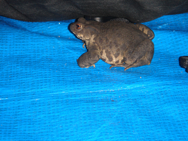 DSC02010