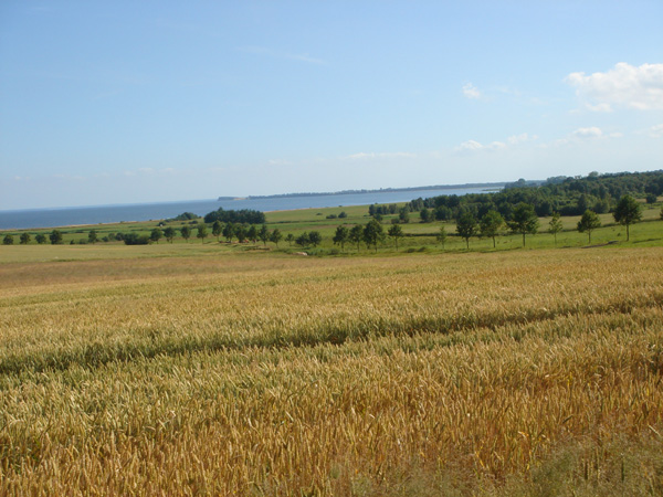 DSC02031