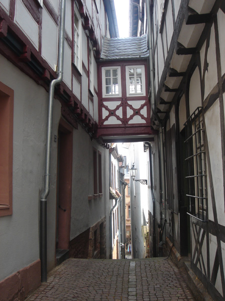 DSC02389