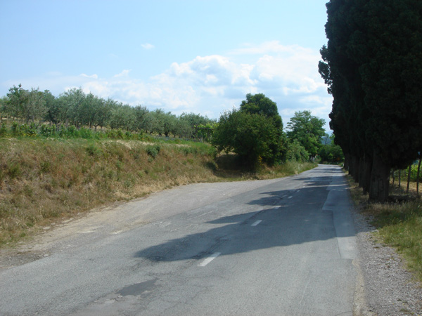 DSC04316