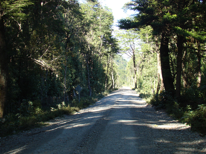 DSC01506