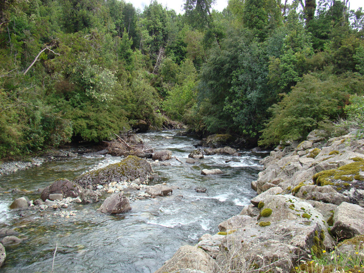 DSC01060