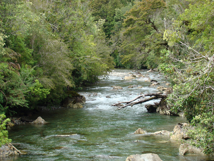 DSC01101