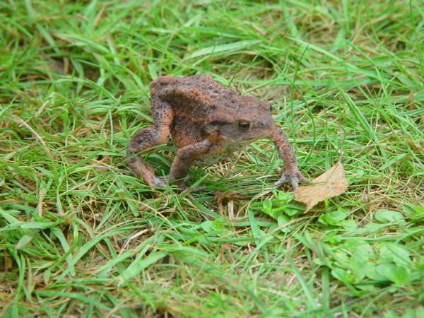 DSC00634